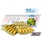 Фіто 40 (Fito 40)