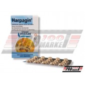 Харпагін (Harpagin)