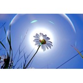 Сила ваших мрій