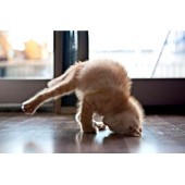 П'ять хвилин здоров'я