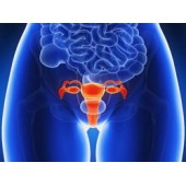 Вагініт (кольпіт)